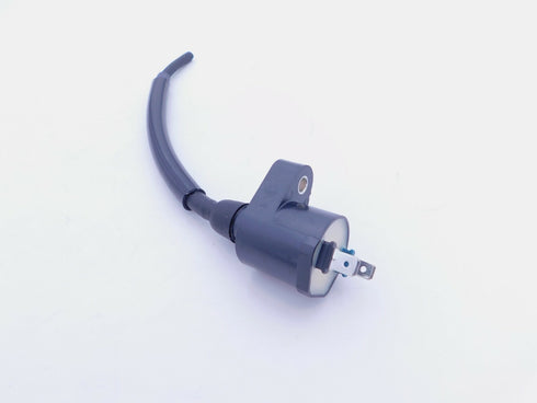 HONDA IGNITION COIL 2006-2008 TRX250EX 2009-2021 TRX250X OEM NEW 30510-HN6-A31